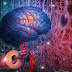 Understanding of the three brains of men