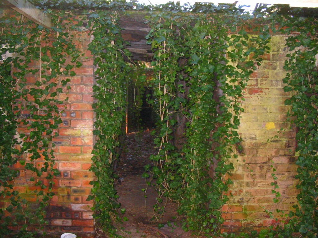 RAF_Tilstock_Inside_the_Maze_2_by_Broomhalla RAF Tilstock Inside the Maze 2 by Broomhalla - Some rights reserved. This work is licensed under a Creative Commons Attribution-Noncommercial 3.0 License.