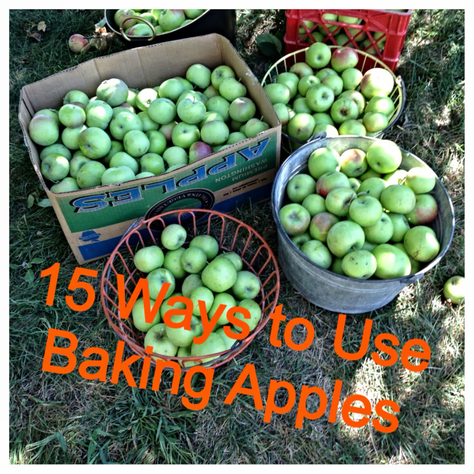 Chicago Jogger Baking Apples.