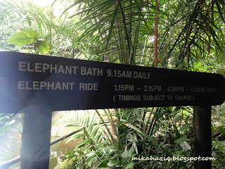 singapore attractions with kids where to bring kids singapore