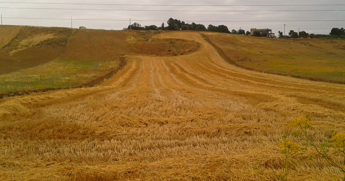 Duro di Sicilia Carrellata Durogranicola