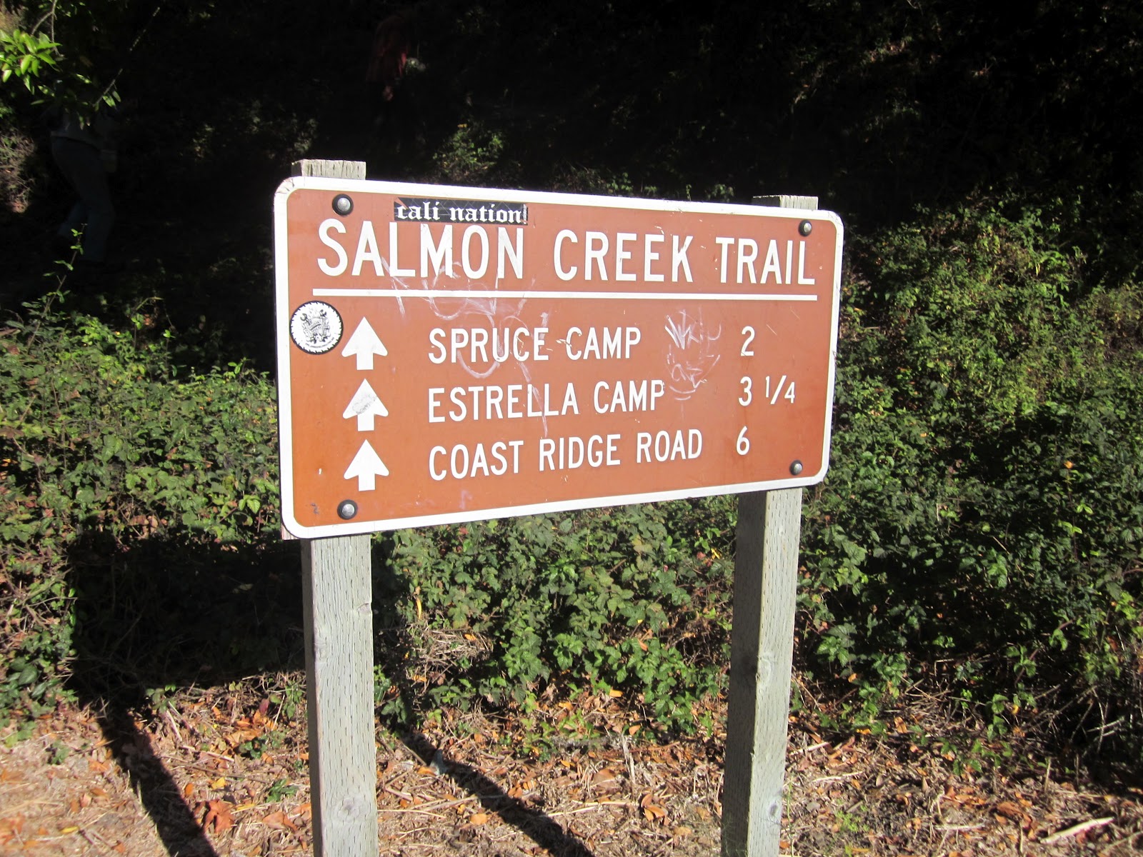 Salmon Creek, Big Sur, California Hike Now, Work Later