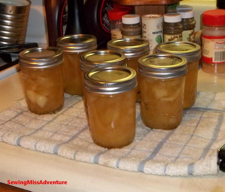 Sewing Miss Adventure Canned spiced apple rings