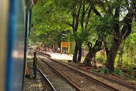 படம்