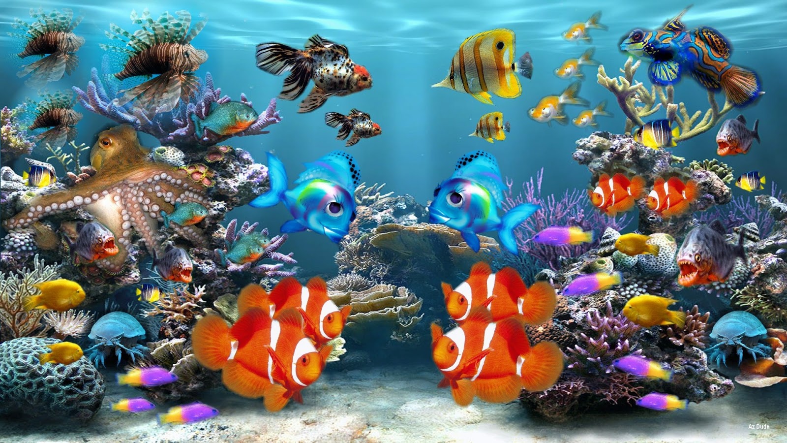 Aquarium hd wallpaper, aquarium wallpaper - Best 2 Travel Wallpaper