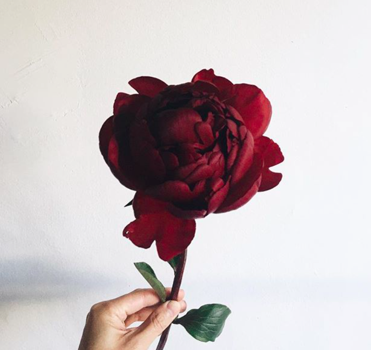 Home and Art Rich and RED January 14, 2019 ZsaZsa Bellagio Like No Other