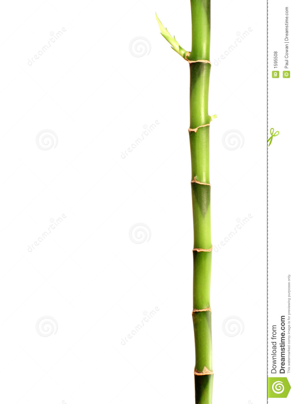 Sword-Of-Truthcom - Sword of Truth / Legend of the Seeker