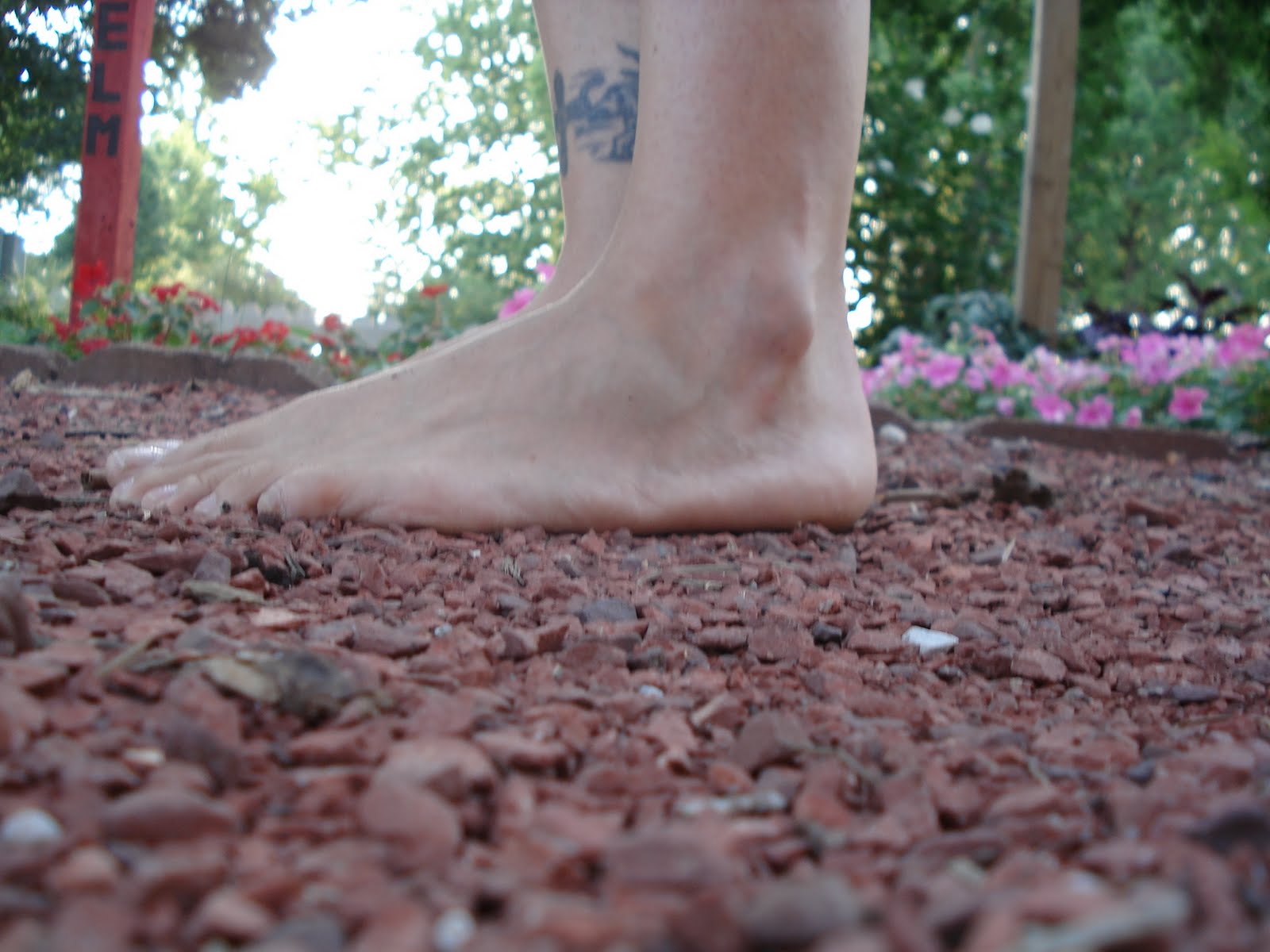 Barefoot Angie Bee Barefoot running on gravel and flowers