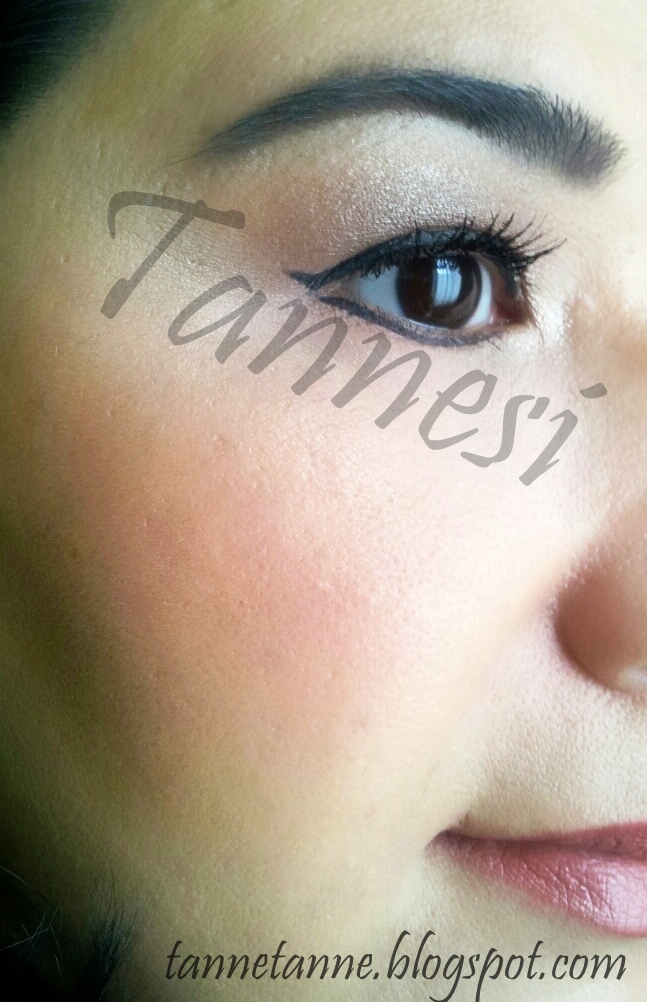 Tanne Tanne Güzellik FOTD/Günün Makyajı Altın ve Boz Kahve Tonları