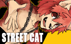 Book｜STREET CAT