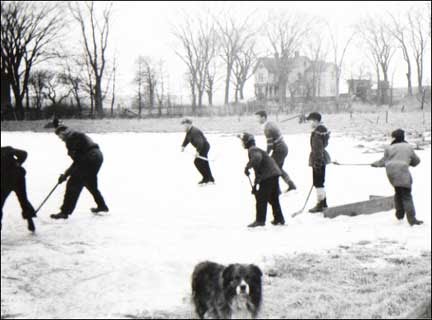 Canadian Pond Hockey