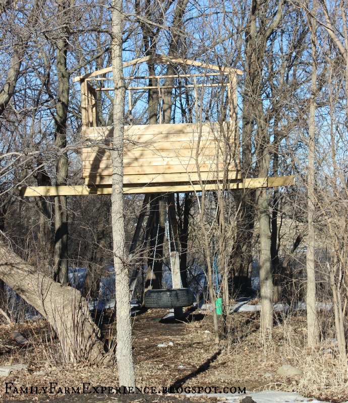Family Farm Experience DIY How to Build your own Treehouse