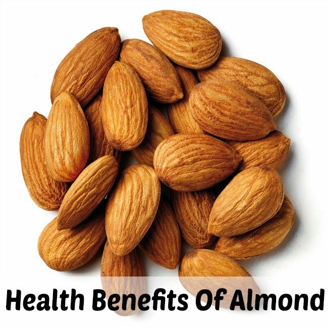 Health Benefits Of Almond Medi Craze