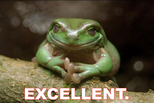 frog_excellent.jpg