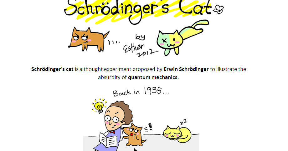 A Cartoon Guide to Physics: Quantum Story Telling - Schrödinger's Cat