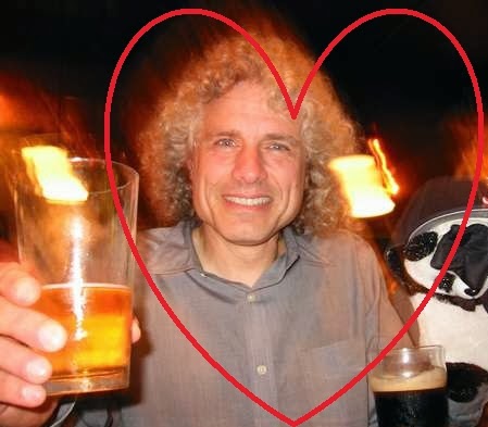 Steven pinker essays