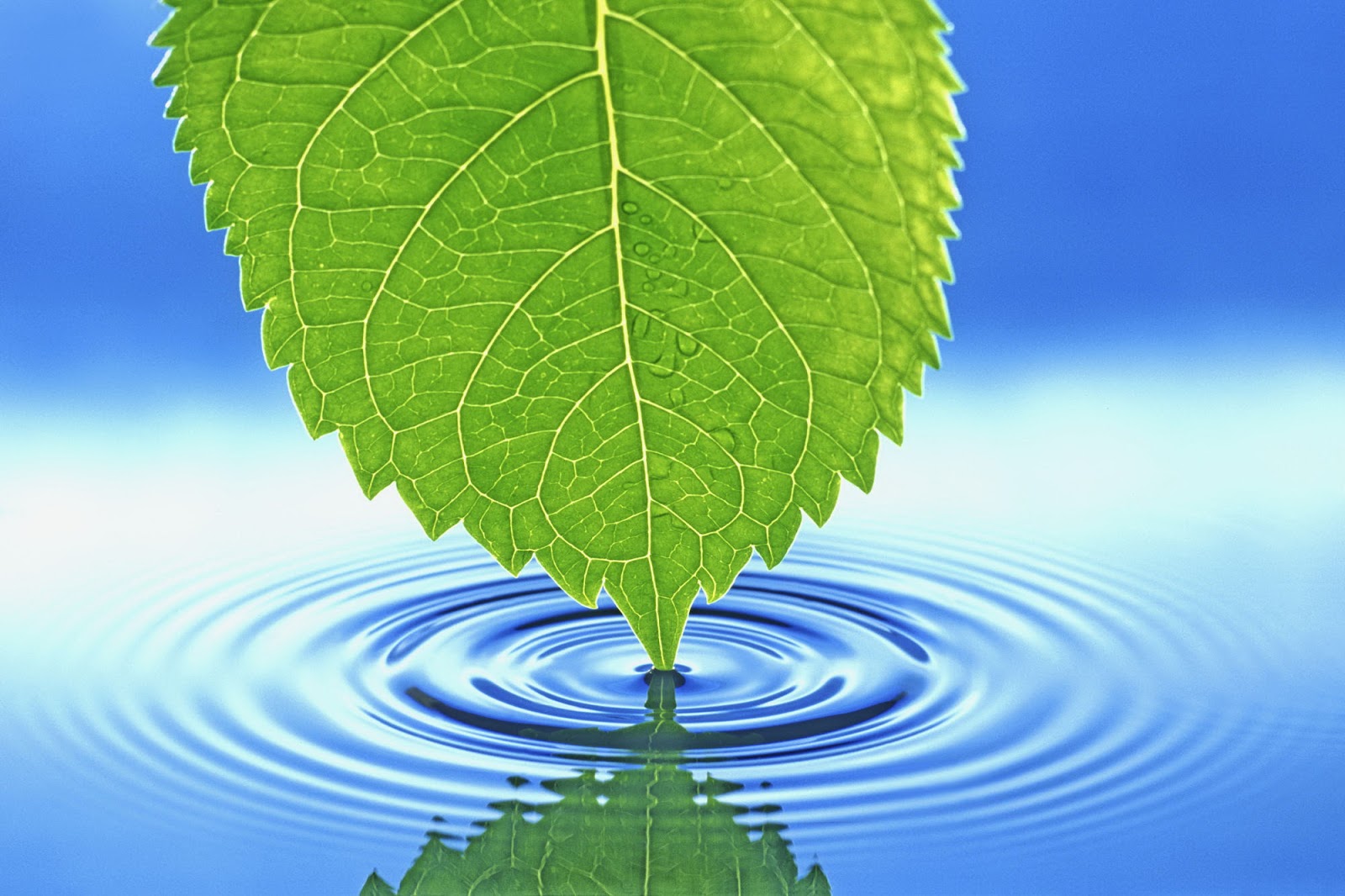 3D Nature Wallpaper 3D Nature Wallpaper