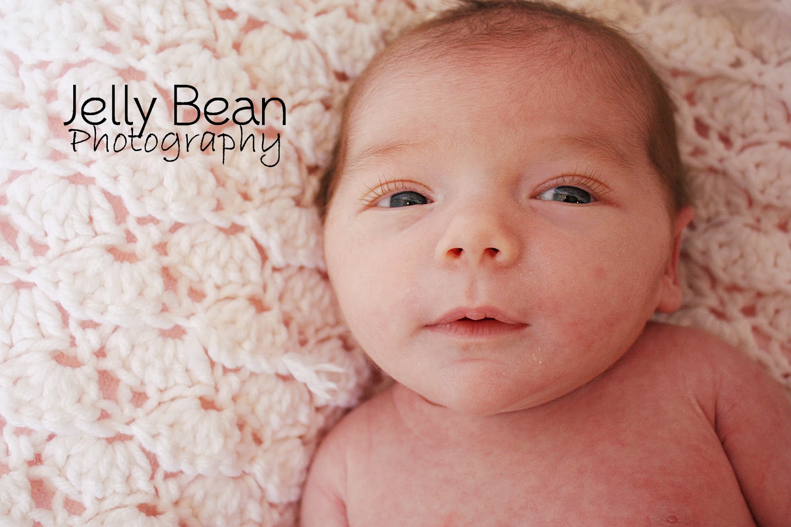 Jelly Bean Photography Gallery