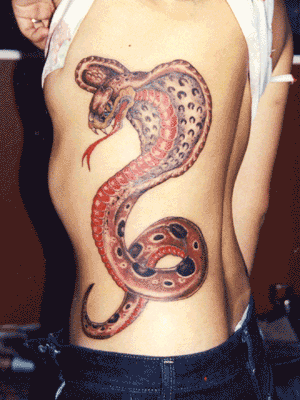 3d snake tattoos 3d snake tattoos