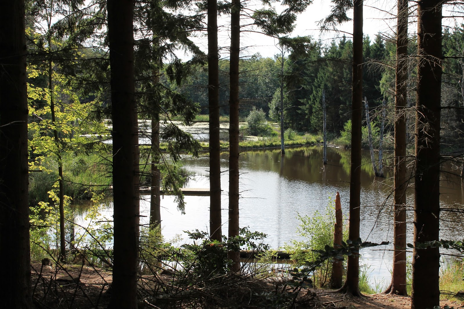 Vandringsløse tidende: august 2013
