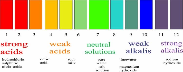 Acids and alkalis worksheet answers image