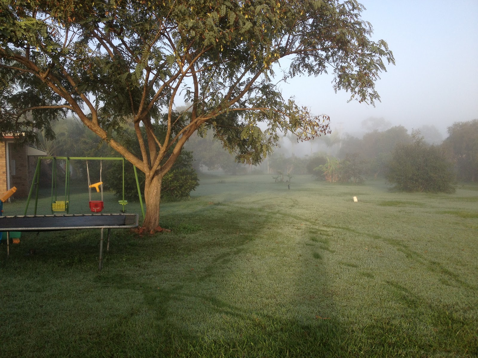 A Real Life Mum The wonder of Mist