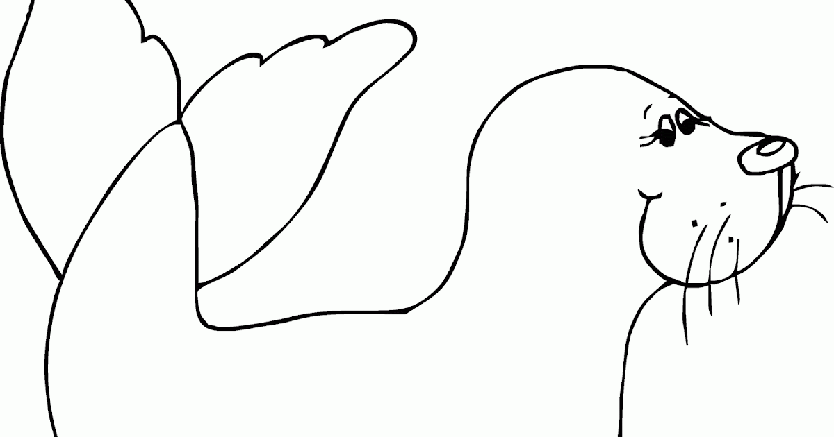 Kumpulan Gambar Mewarnai Binatang Karnivora Contoh Anak Paud