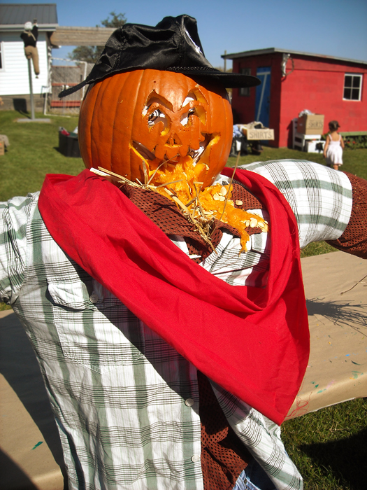 meet me at the silo Scarecrow Festival