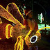 Monkeys, bees and ants light up Christmas display in Colombia