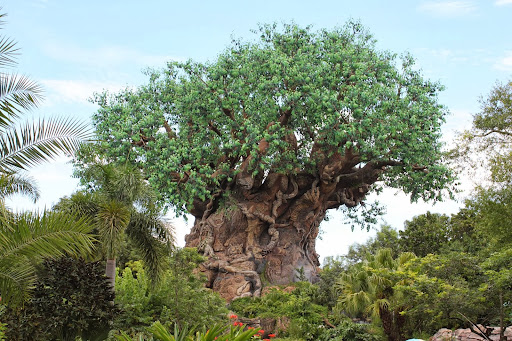 Animal Kingdom's Tree of Life