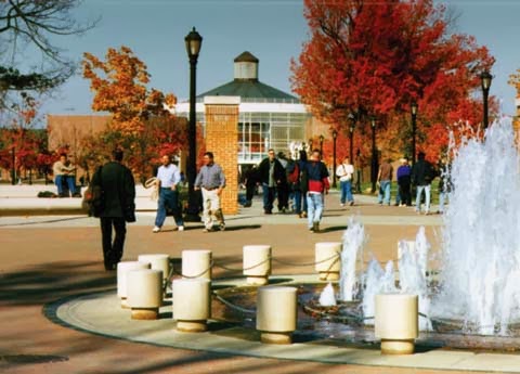 College Of Staten Island Undergraduate Majors College Of Staten Island Undergraduate Majors