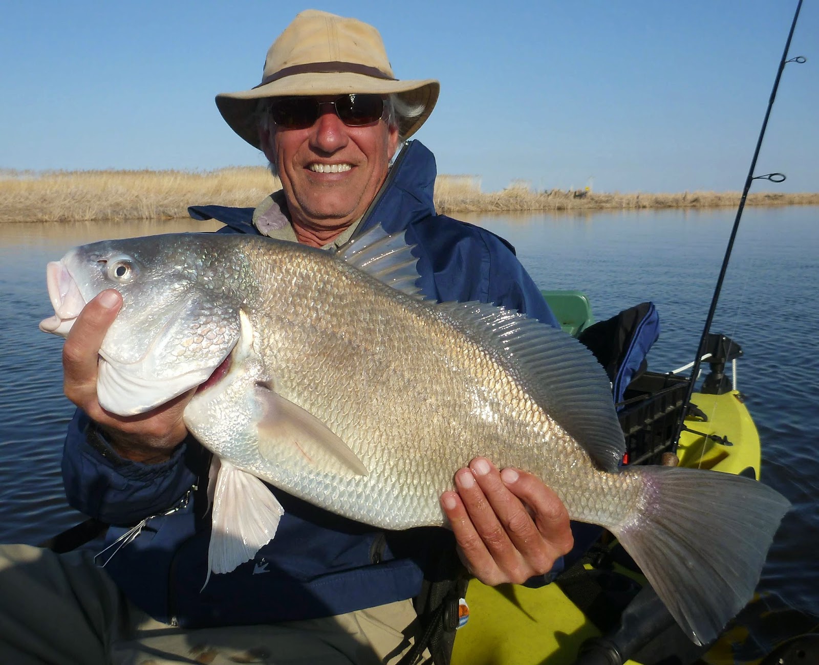 Freshwater drum an interesting Manitoba fish – Winnipeg Free Press