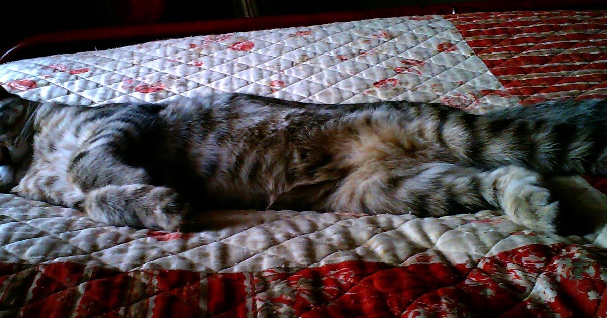 Tales from the Coop Keeper Sacred Sounds