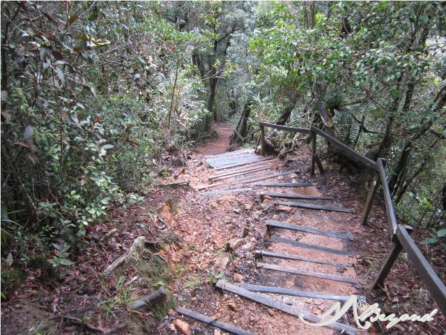 Mt Kinabalu trail, mt kinabalu difficulty, trail of kota kinabalu, trail of mt kinabalu, mt kinabalu rocks
