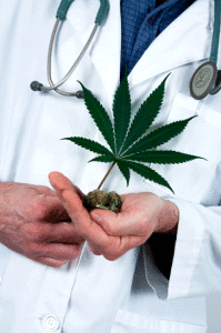 cannabis medicinal cannabis medicinal
