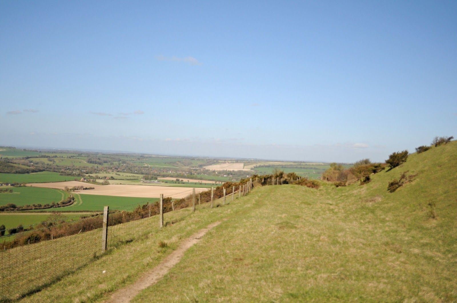 Bill's Birding Birding, Nostalgia and Old Winchester Hill