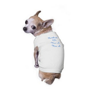 Funny Dog Pictures