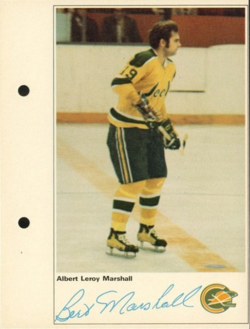 MY HOCKEY CARD OBSESSION: 'DID YOU KNOW' - Those Are Some Pretty Skates