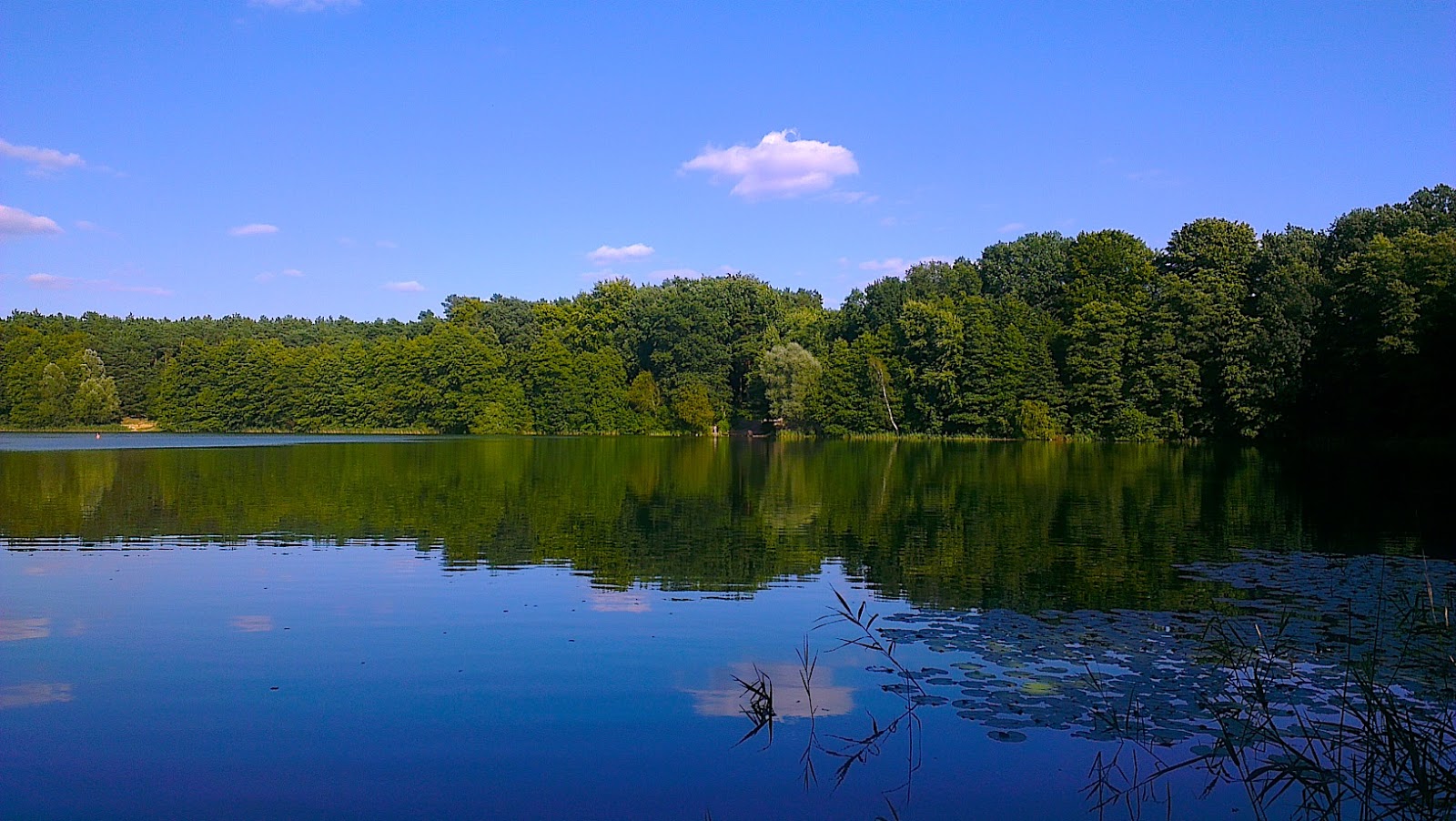 Bernau LIVE wünscht allen einen sonnigen Sonntag bei bis zu 25 Grad! 2 Bernau LIVE - Dein Stadtmagazin für Bernau bei Berlin