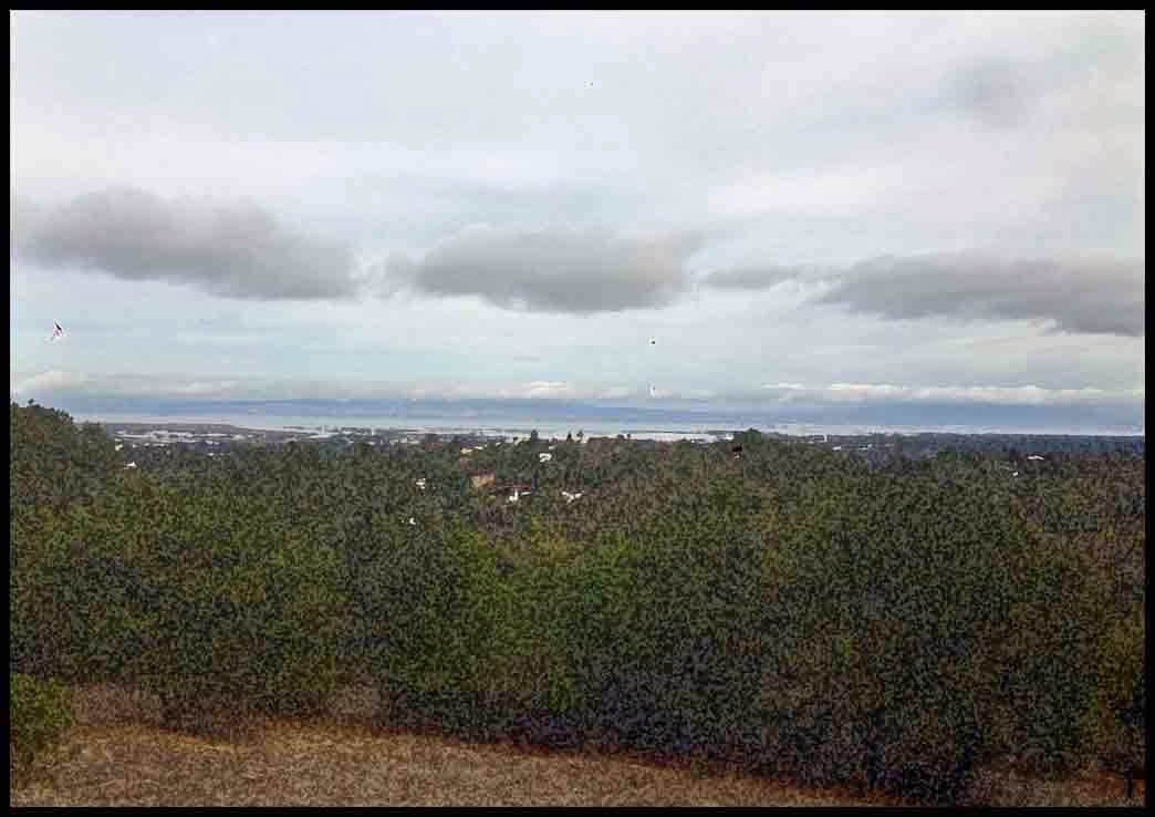 Postcard From California Hiking Edgewood Clean Skies! (haiku)
