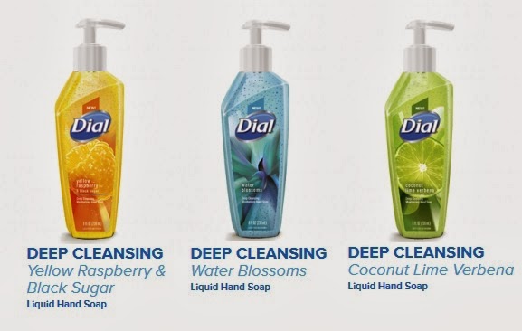 Dial Deep Cleansing Hand Soap
