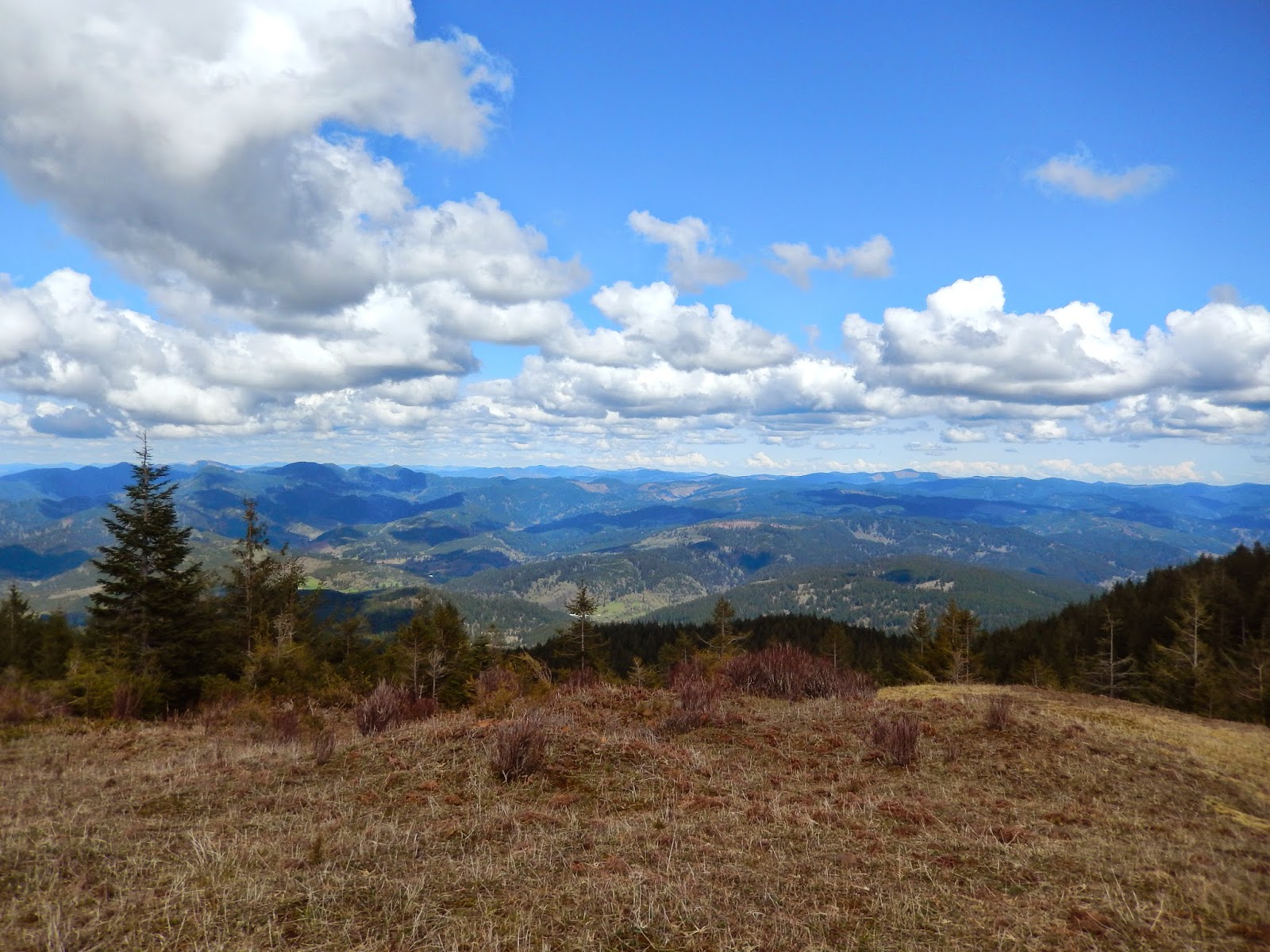 Holly Blogs Her Adventures Nehalem Bay Horse Camp and Mt. Hebo, Oregon