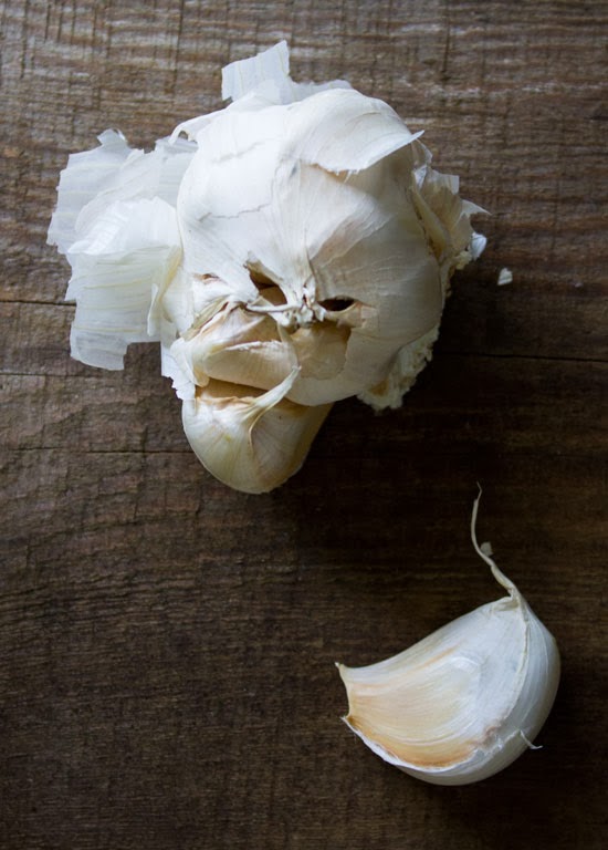 The Rainforest Garden Grow the Garlic, Leeks and Onions in your Fridge