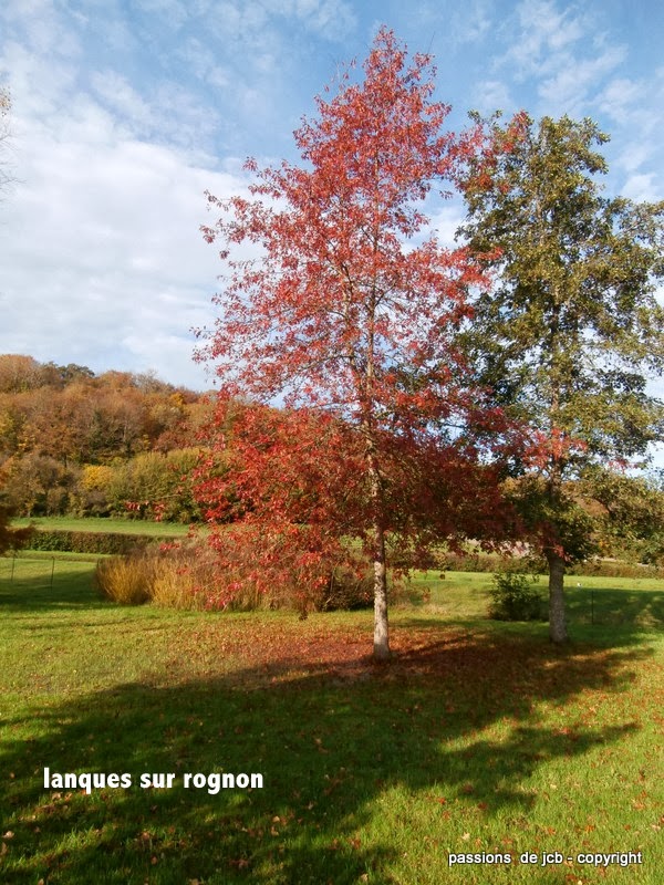 L'AUTOMNE