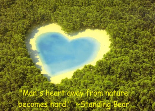 Insight Incites Change: This Extraordinary Thing Called Love - The