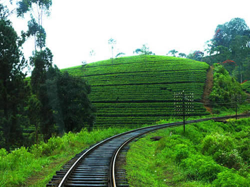 Sales Sri Lnaka: Must visit trip by train to Badulla