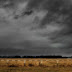 Rainy mood