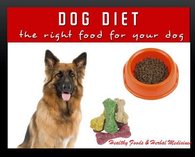 HEALTHY FOODS & HERBAL MEDICINES GUIDELINES TO CHOOSE A HEALTHY DOG DIET FOR YOUR PET