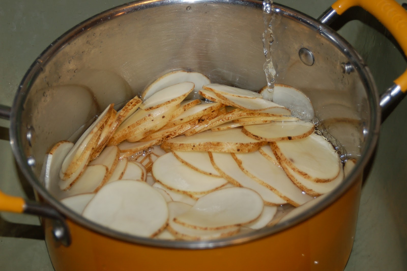 Dehydrating Way Beyond Jerky Potato Chips? Of Course!