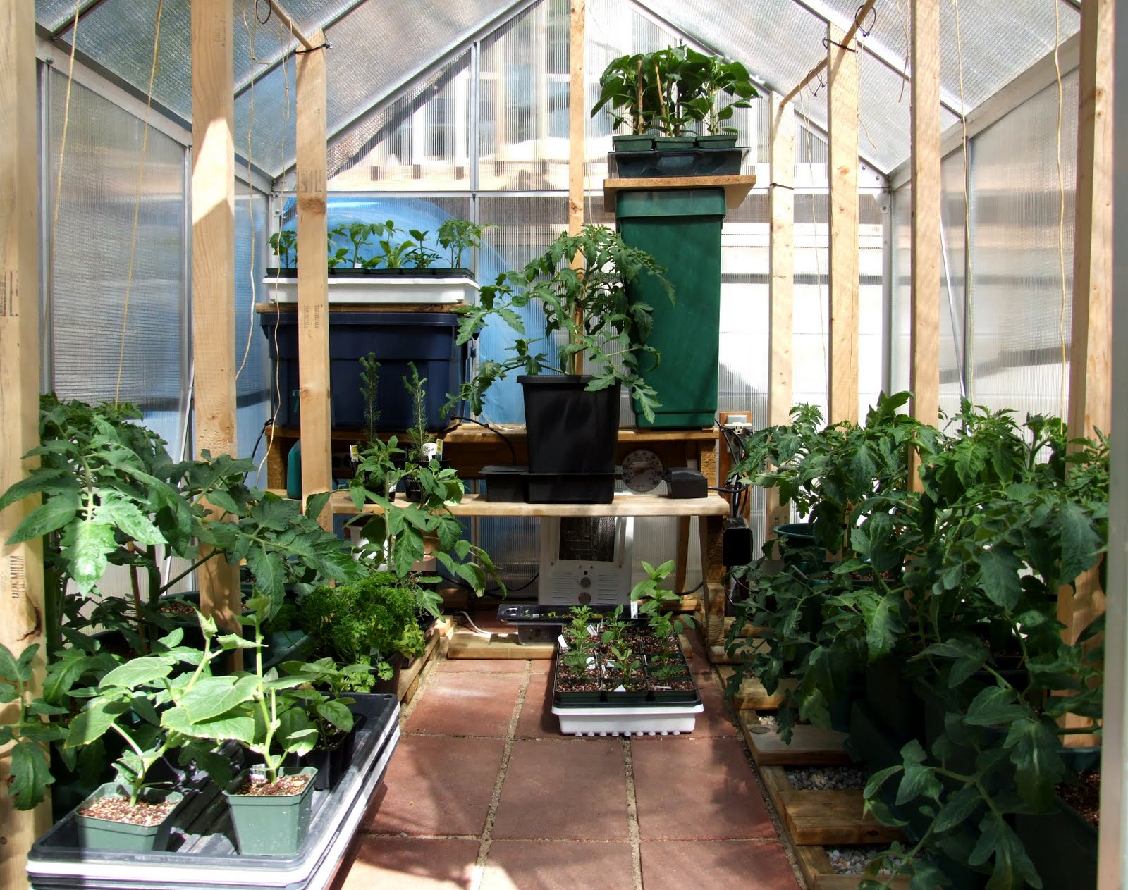 Hydroponic Workshop: May 2011